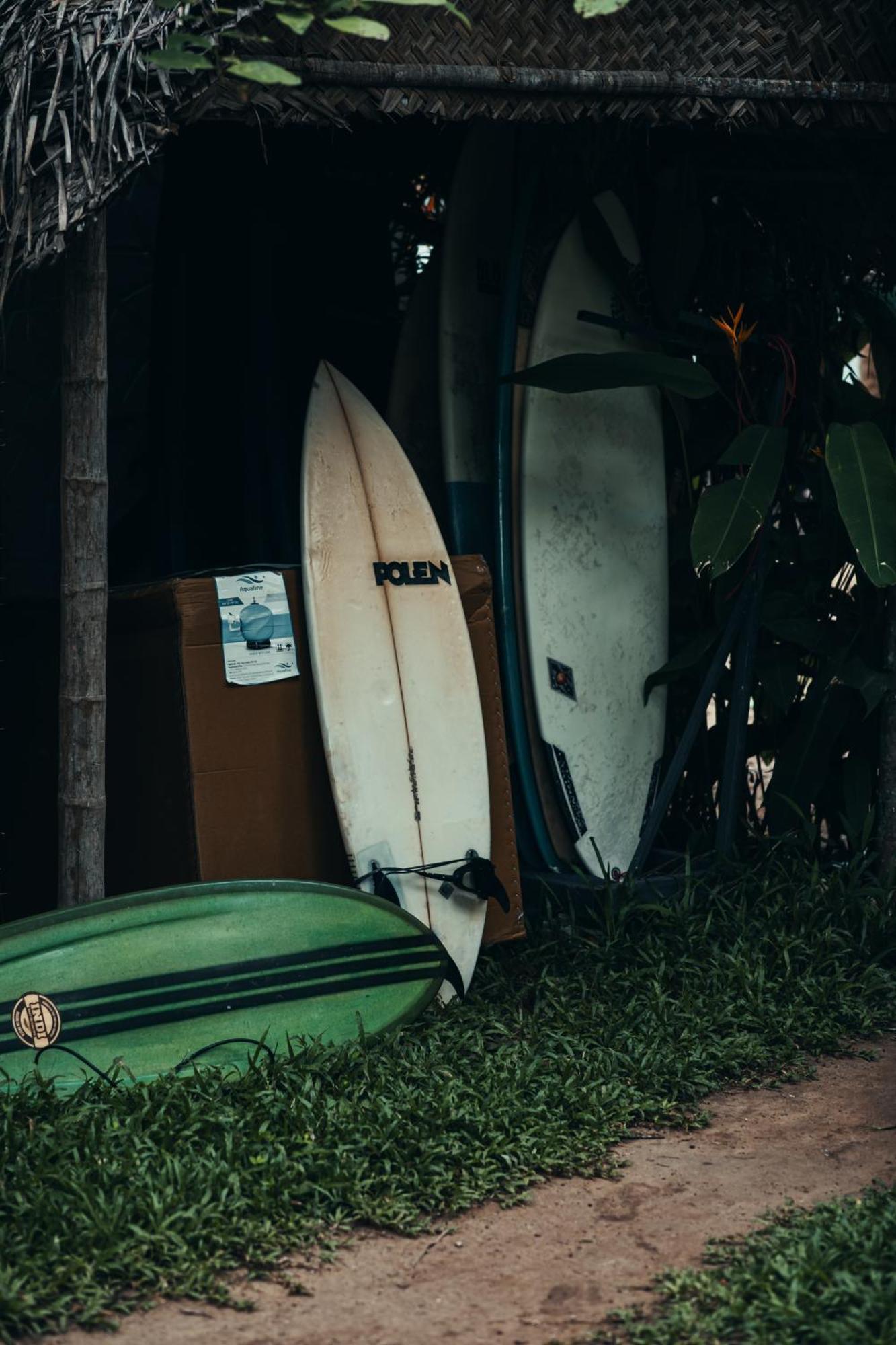 Bed and Breakfast Paddlecult Surf Retreat Варкала Экстерьер фото