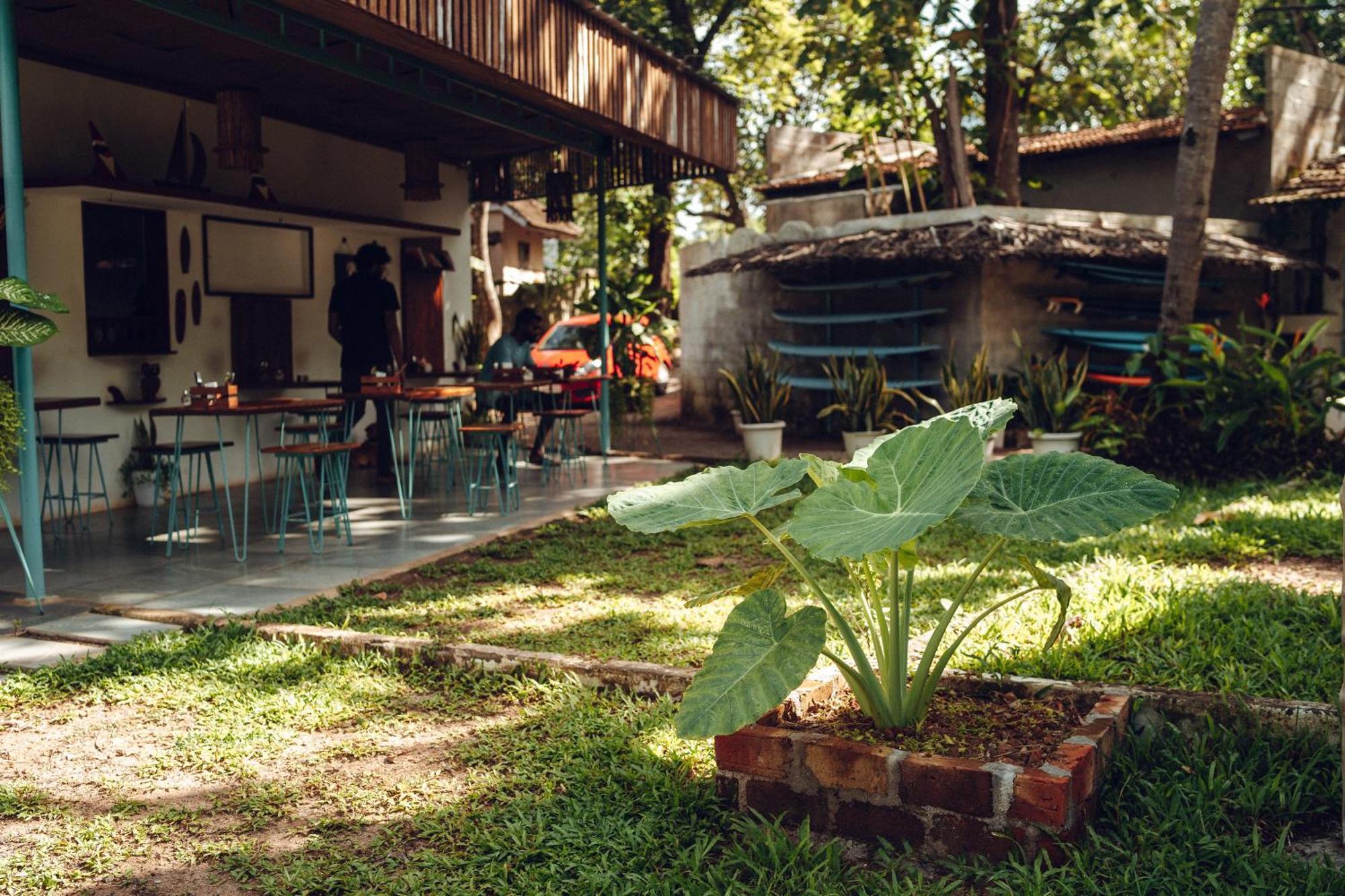 Bed and Breakfast Paddlecult Surf Retreat Варкала Экстерьер фото