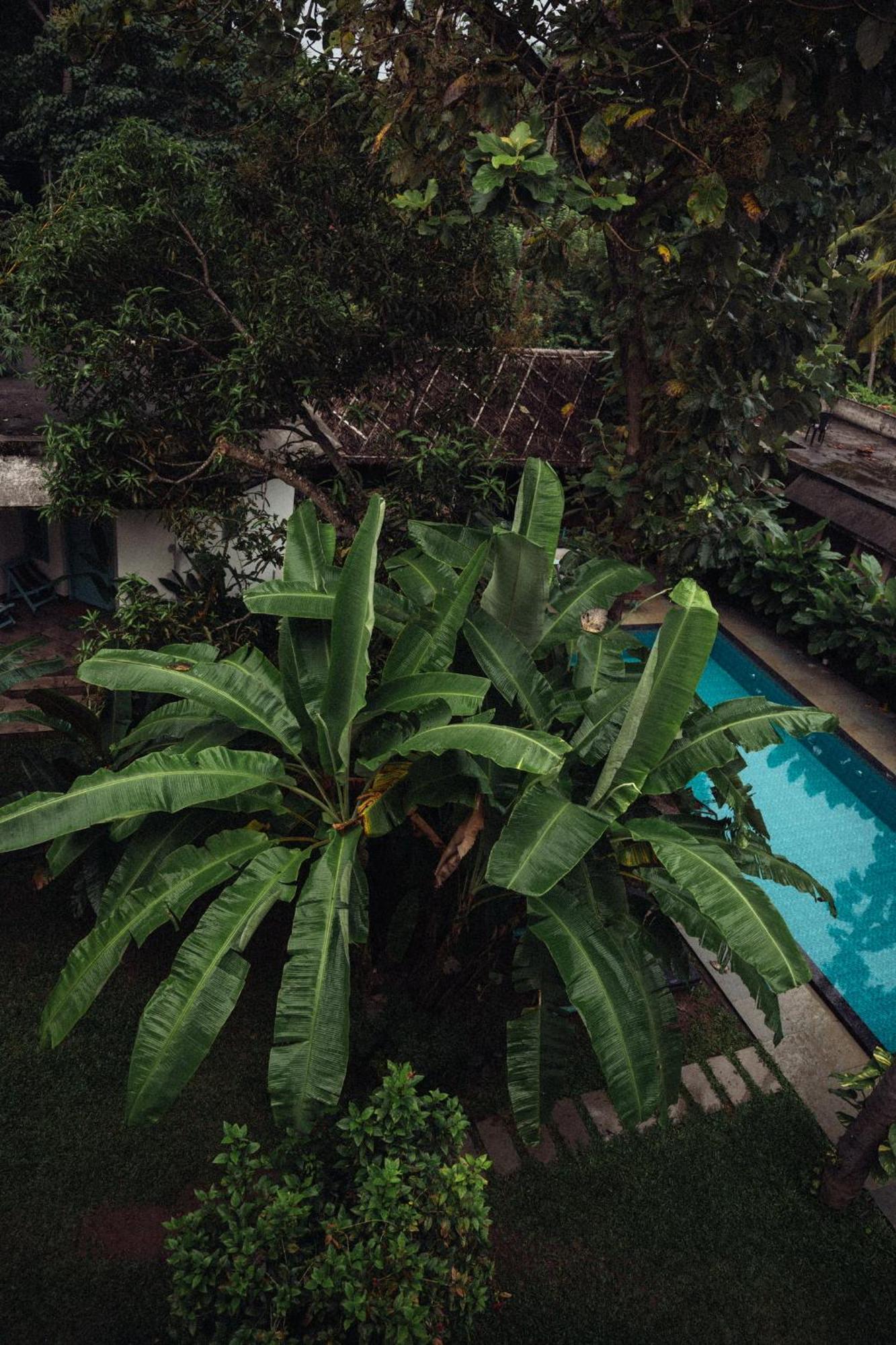Bed and Breakfast Paddlecult Surf Retreat Варкала Экстерьер фото